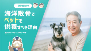 海洋散骨でペットを供養すべき理由をまるっと解説!海洋散骨は自分でもできる?