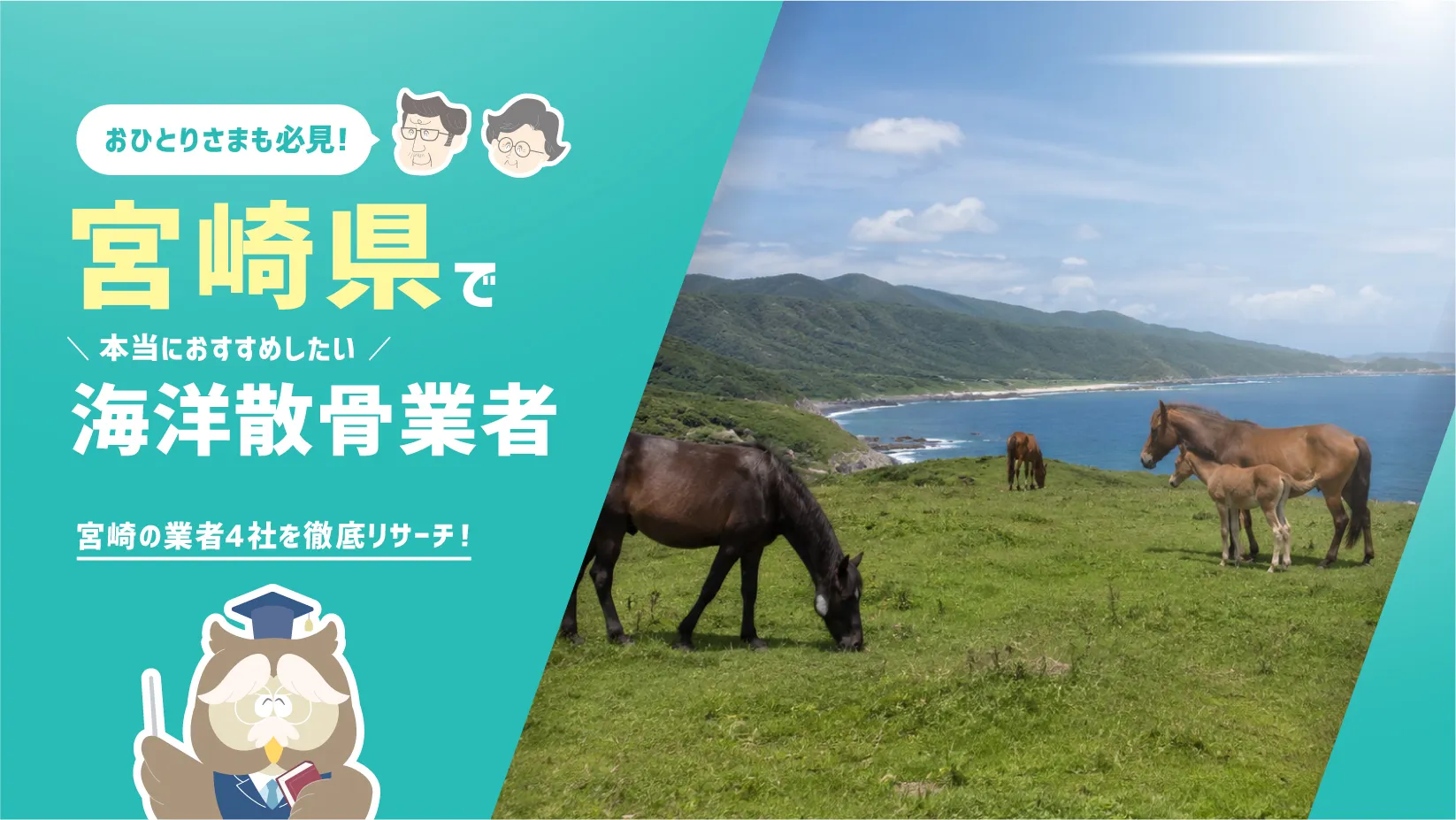 宮崎県の海洋散骨業者4社！散骨を知り尽くした筆者が本当におすすめしたい2社